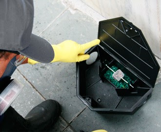 Controle de roedores